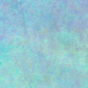 Meet your Posher, Corinne